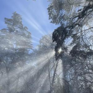 瘸蚀人漫画下拉式漫画
