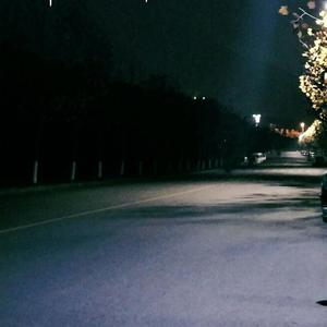 暖暖日本免费中文字幕
