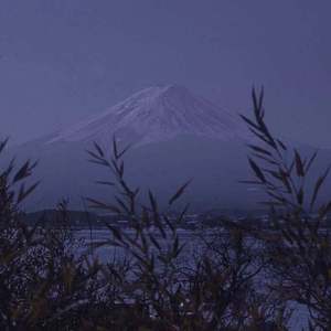 极品一线天视频
