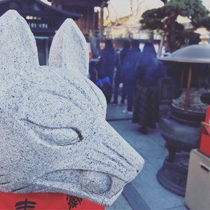 极品一线天视频
