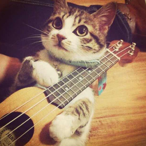 中国处女操逼疼嗷嗷哭视频
