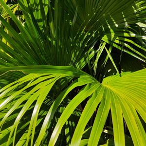 瘸蚀人漫画下拉式漫画
